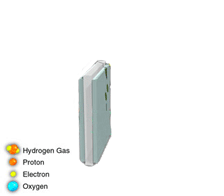 how a typical fuel cell works